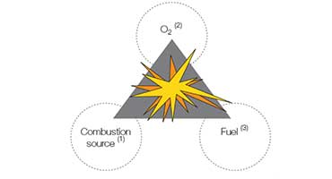  Adaptation to Special Plant Environments   