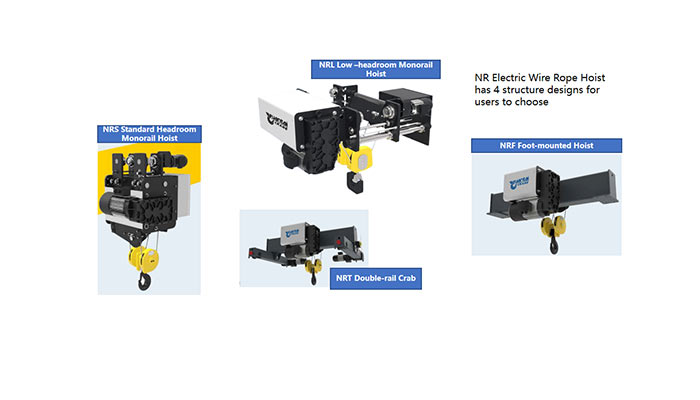 FEM standard electric wire rope hoist    