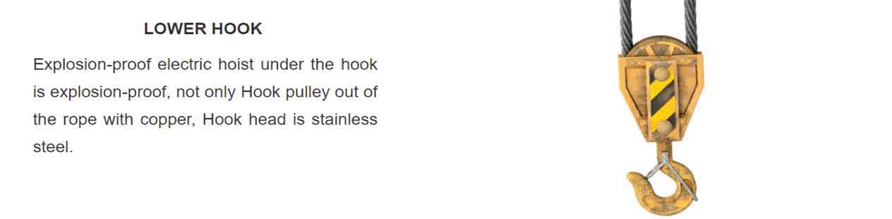 Explosion proof wire rope hoist Explosion proof hoist for safe crane