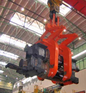 Liftiong tongs and crane tongs