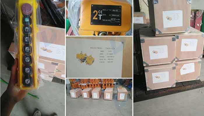 2 Ton Electric Chain Hoist Packaging and Delivery 2 Ton Electric Chain Hoist Packaging and Delivery