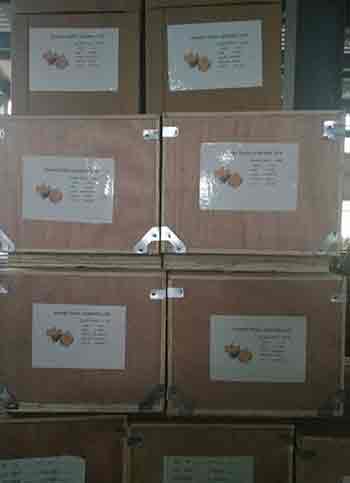 0.5 ton electric chain hoist packed for delivery to Azerbaijan