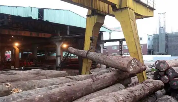 Rail Mounted Gantry Crane Timber Yard