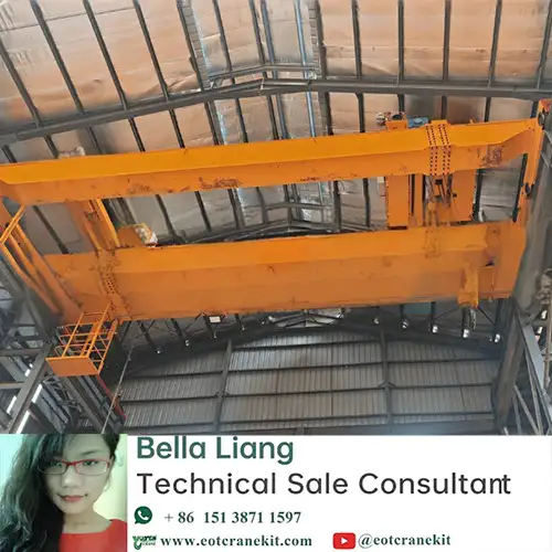 40 Ton Overhead Crane with Tandem Lifting for Hydropower