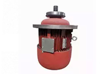 Electric wire rope hoist