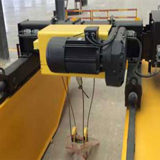 European style low headroom electric hoist