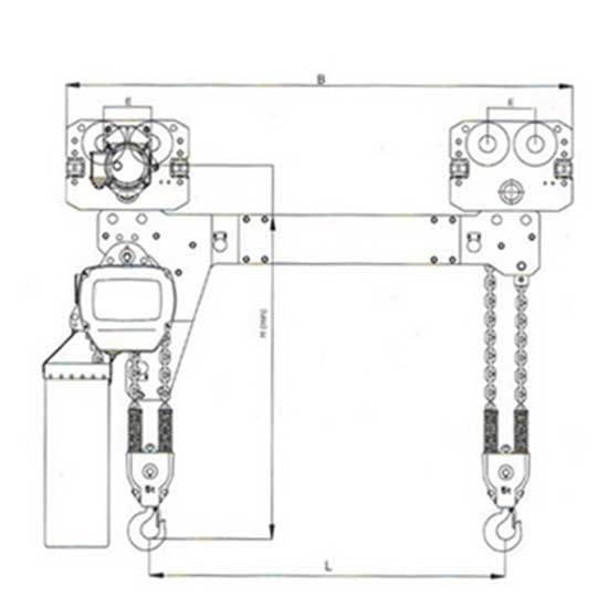 Electric chain hoist with double hook