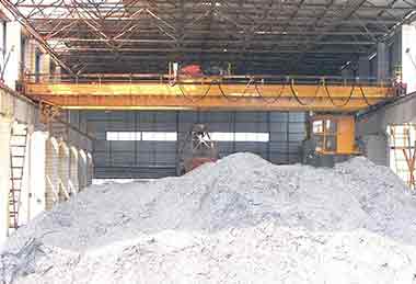 Biomass crane