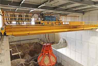 Biomass crane