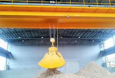 Biomass crane