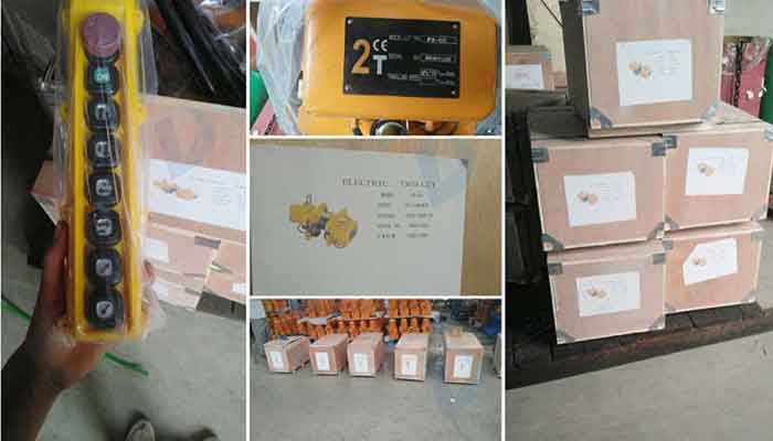 2 Ton Electric Chain Hoist Packaging and Delivery