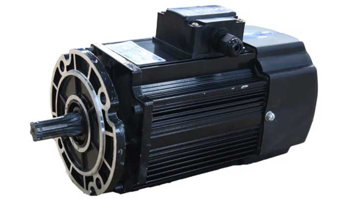 Dual speed motor