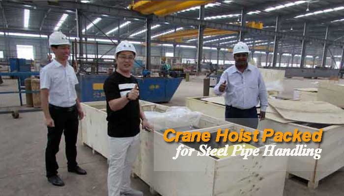 5 ton European style electric wire rope hoist for the steel hanlding crane packed after inspection ready for delivery 5 ton European style electric wire rope hoist for the steel hanlding crane packed after inspection ready for delivery