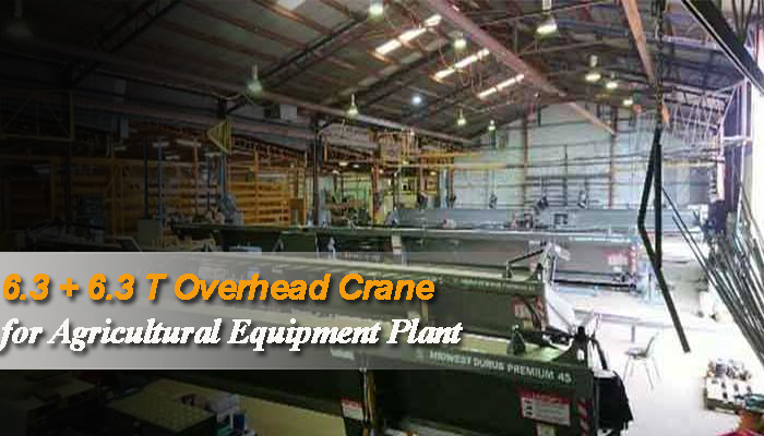  6.3+6.3 Ton EOT Crane for Agricultural Equipment Plant Australia
