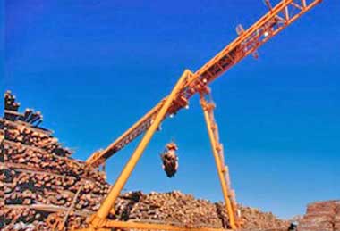 Woodyard gantry crane & log crane for sawmill industry