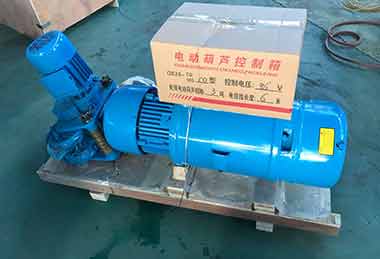 2 ton wire rope hoist for pillar jib crane for sale Poland