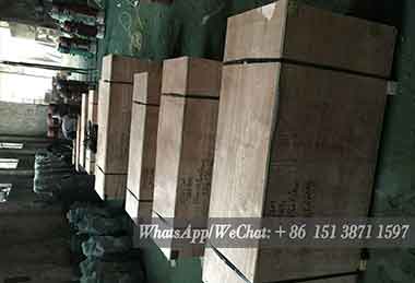 6 sets of electric wire rope hoist with trolley ready for delivery to Cambodia 6 sets of electric wire rope hoist with trolley ready for delivery to Cambodia