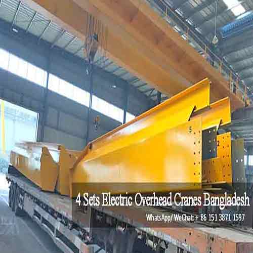  5 Ton + 5 Ton Electric Single Girder Overhead Crane Bangladesh 
