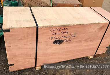 3 ton electric hoist with 10 m lifting height packed in wooden box for sale Jordan