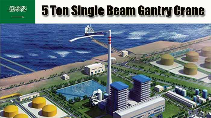 Electric Power Plant of Saudi Arabia client