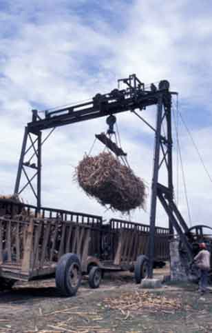 Gantry cranes for sugarcane loading & undloading