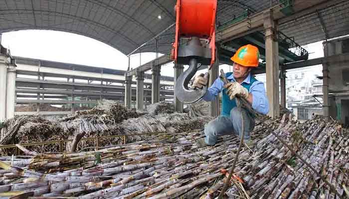 Overhead Cane Unloader Crane for Sugar Industry