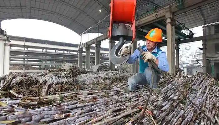 Agro-processing: Agro-processing: