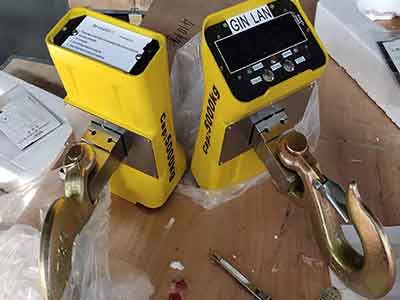 Crane scale for sale Egypt