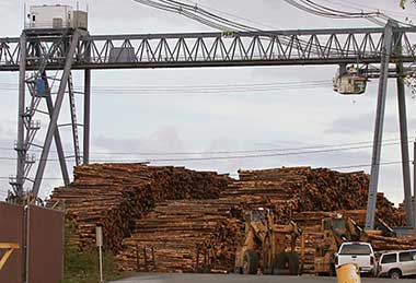 Truss girder gantry crane for high wind place log handling for your reference