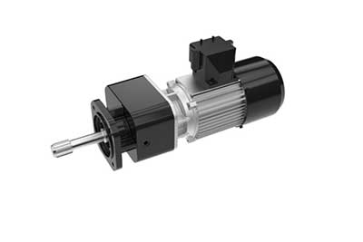 Lifting Gear Motor for euro hoist