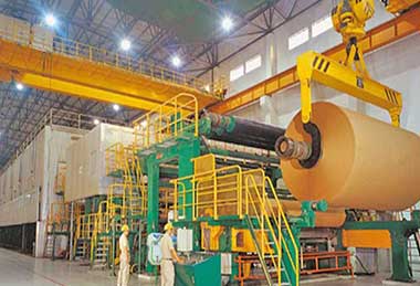 Paper and pulp manufacturing crane, paper roll crane