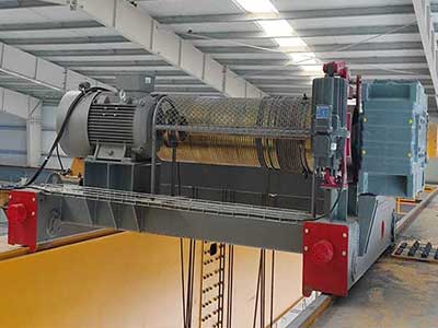 Customized Special-Purpose Cranes: Customized Special-Purpose Cranes:
