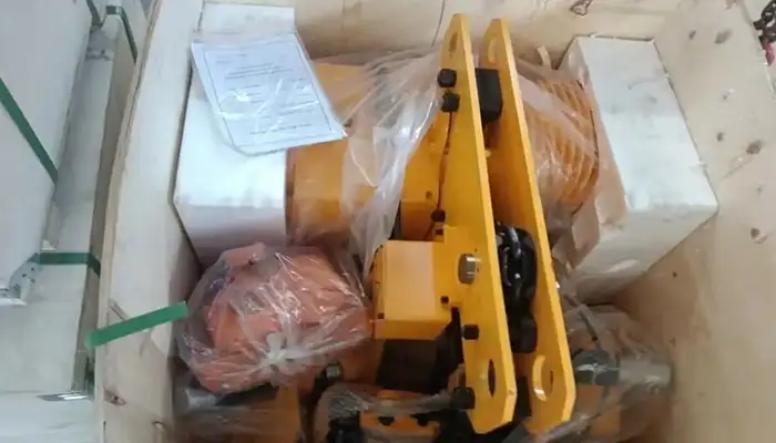 Electric chain hoist for the cutom 5 ton bridge crane for sale Saudi Arabia 