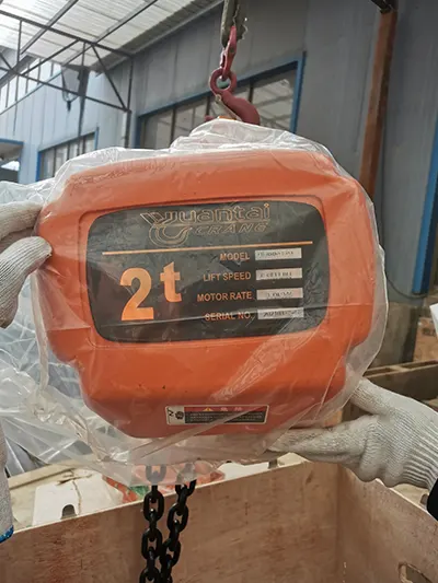 Electric chain hoist for material handling 