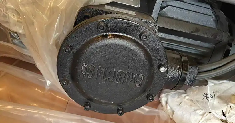 Electric motor for the explosion proof crane hoist