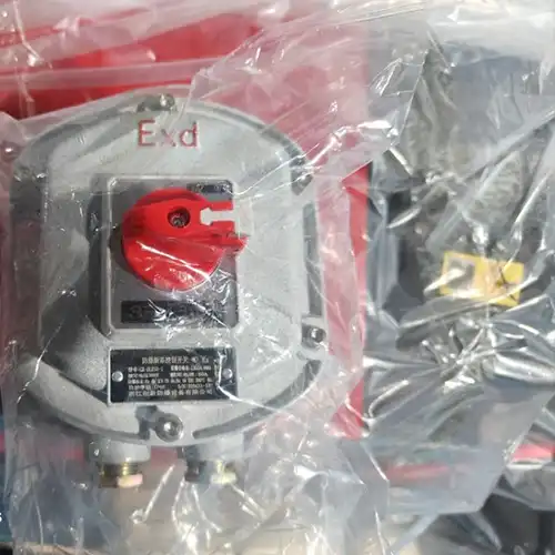 Explosion-Proof Limit Switches Explosion-Proof Limit Switches