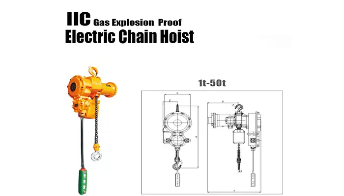 Hook mounted explosion proof electric chain hoist 1 ton to 50 ton for IIC explosive environments
