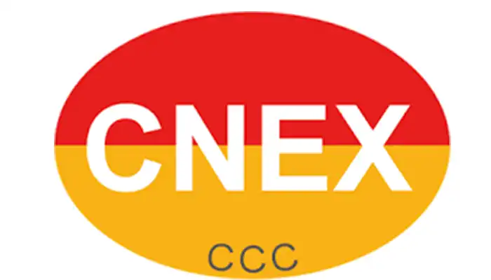 Export CNEX-Certified Explosion-Proof Cranes from China