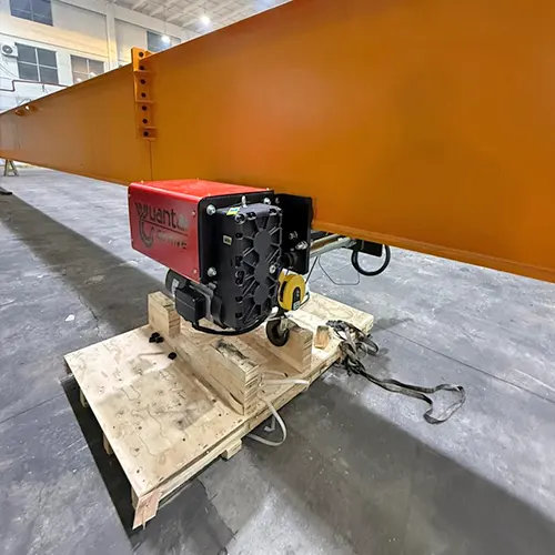 Electric Wire Rope Hoist